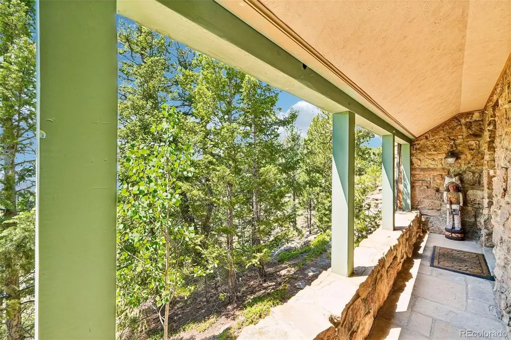 11793 Braun Way Conifer CO 80433