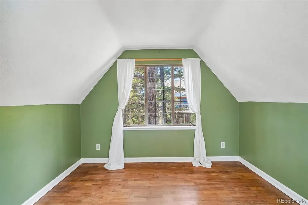 11793 Braun Way Conifer CO 80433