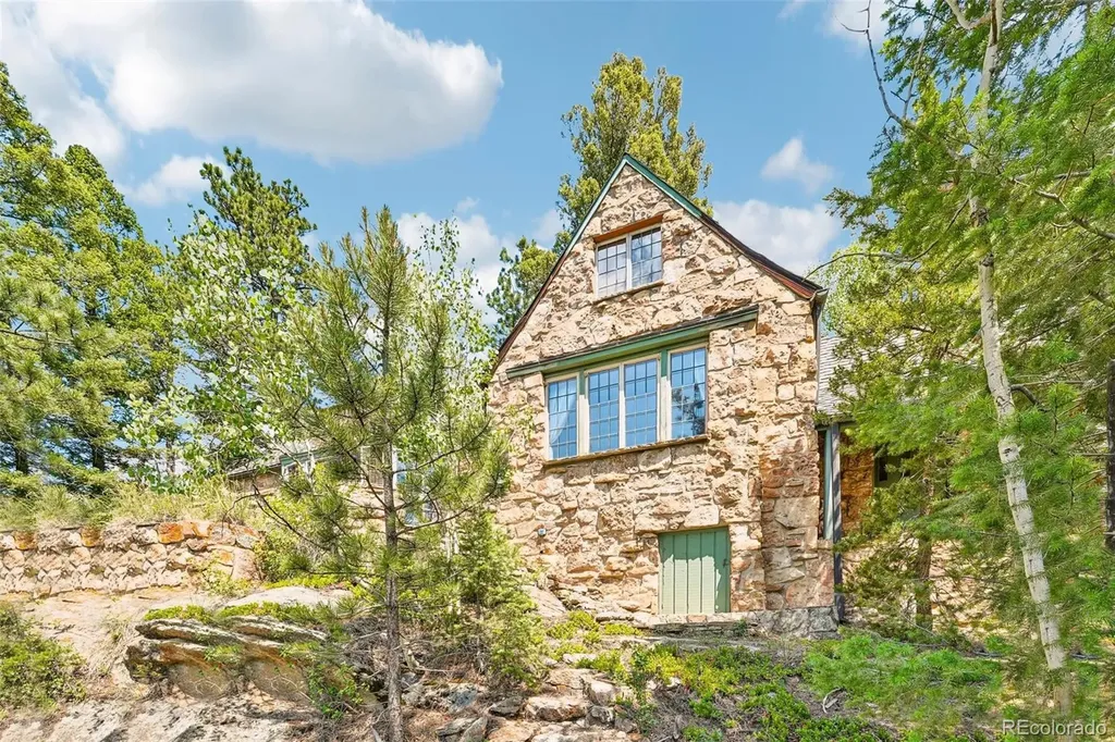 11793 Braun Way Conifer CO 80433