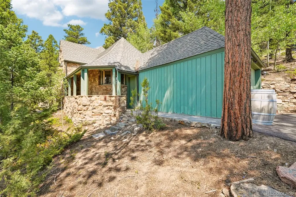 11793 Braun Way Conifer CO 80433