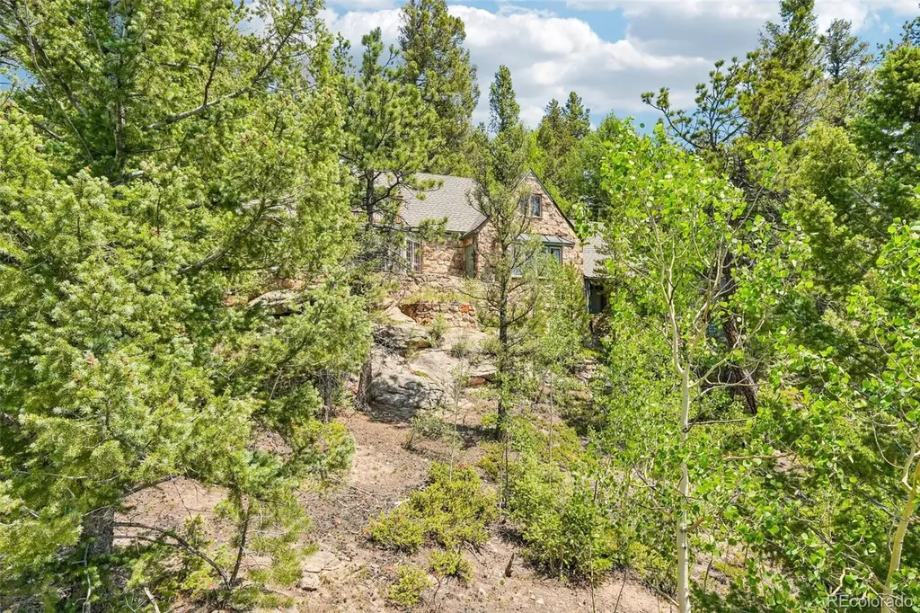 11793 Braun Way Conifer CO 80433