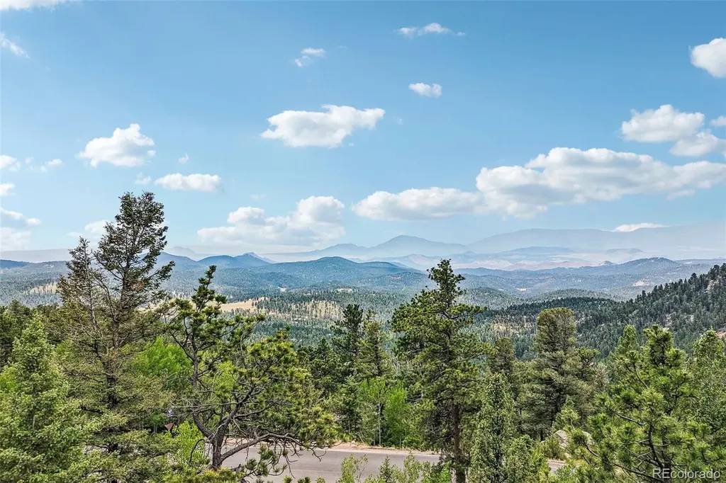 11793 Braun Way Conifer CO 80433