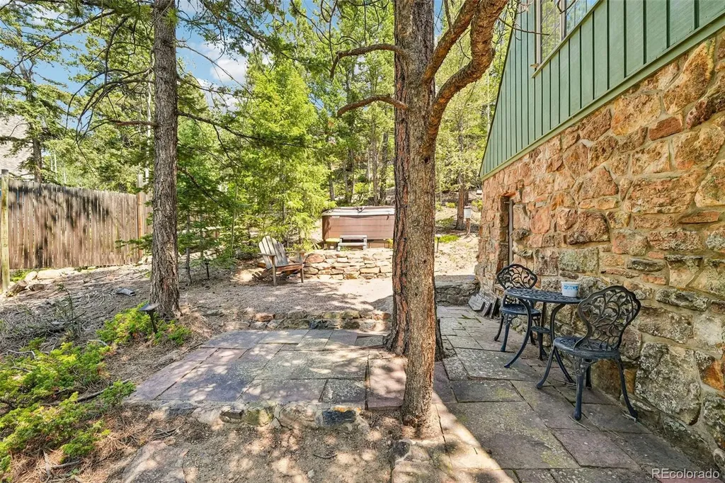 11793 Braun Way Conifer CO 80433