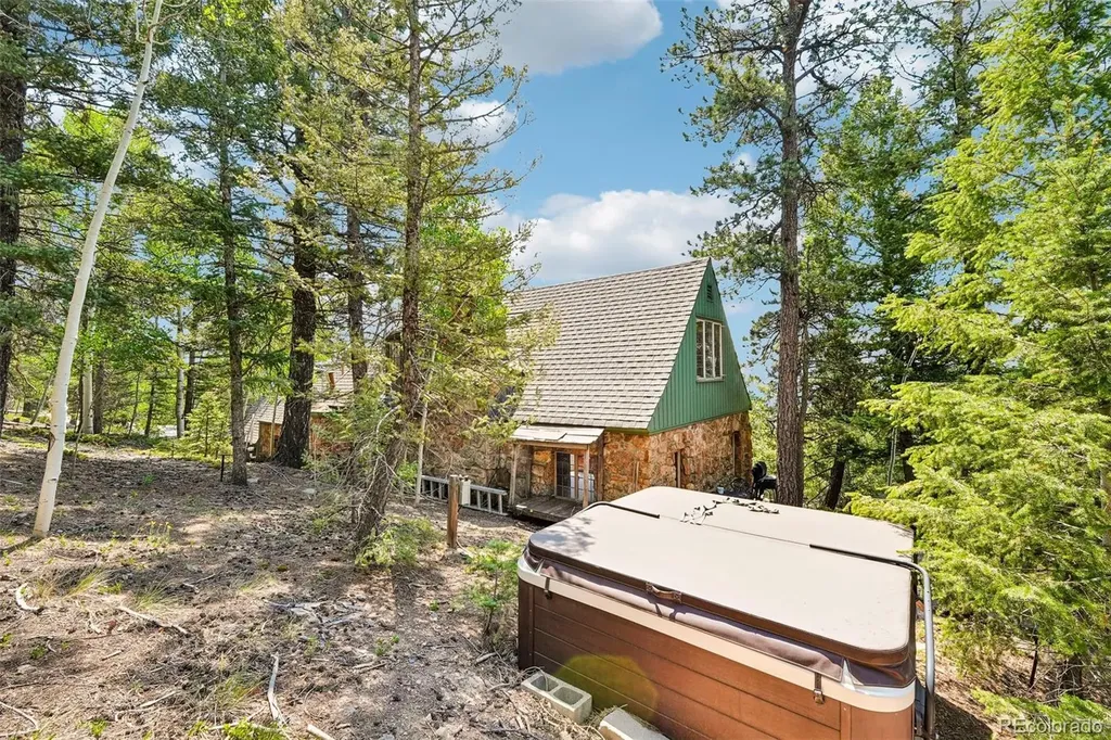 11793 Braun Way Conifer CO 80433