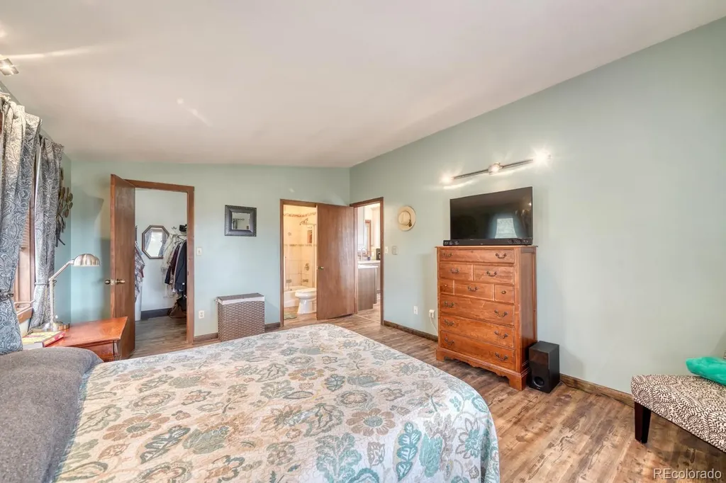 37820 Twin Kopie Drive Buena Vista CO 81211