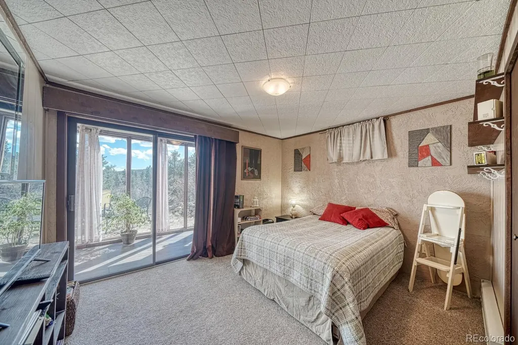 37820 Twin Kopie Drive Buena Vista CO 81211