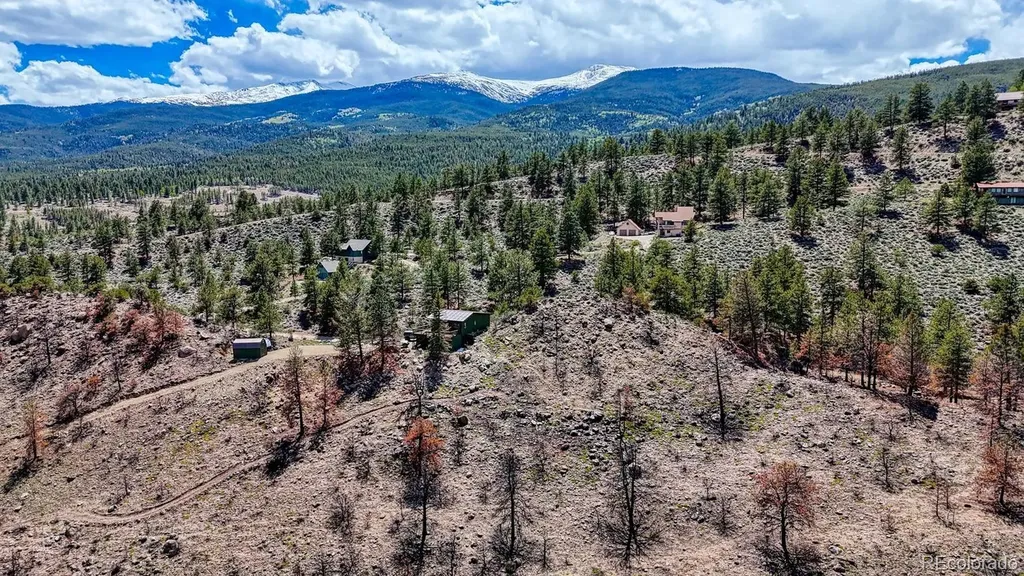 37820 Twin Kopie Drive Buena Vista CO 81211