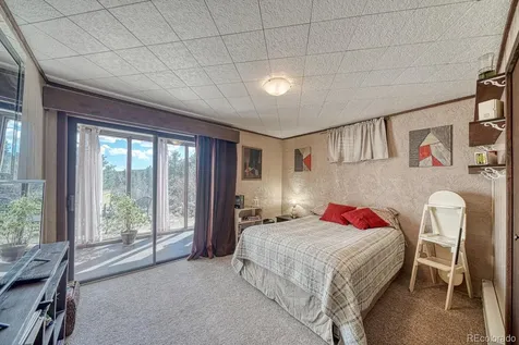 37820 Twin Kopie Drive Buena Vista CO 81211