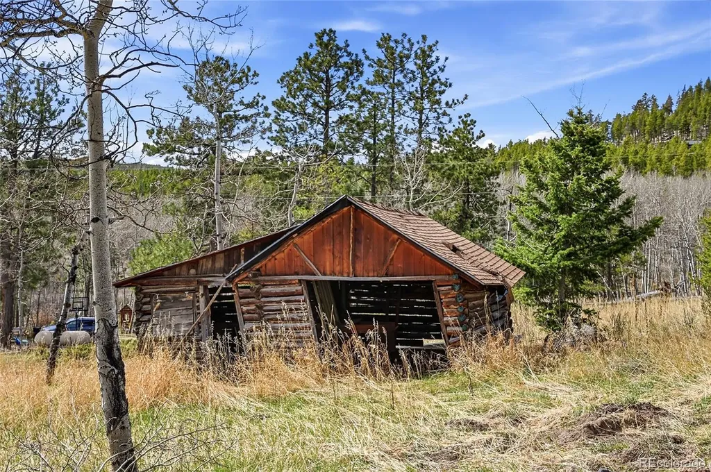 10568 Walters Circle Morrison CO 80465