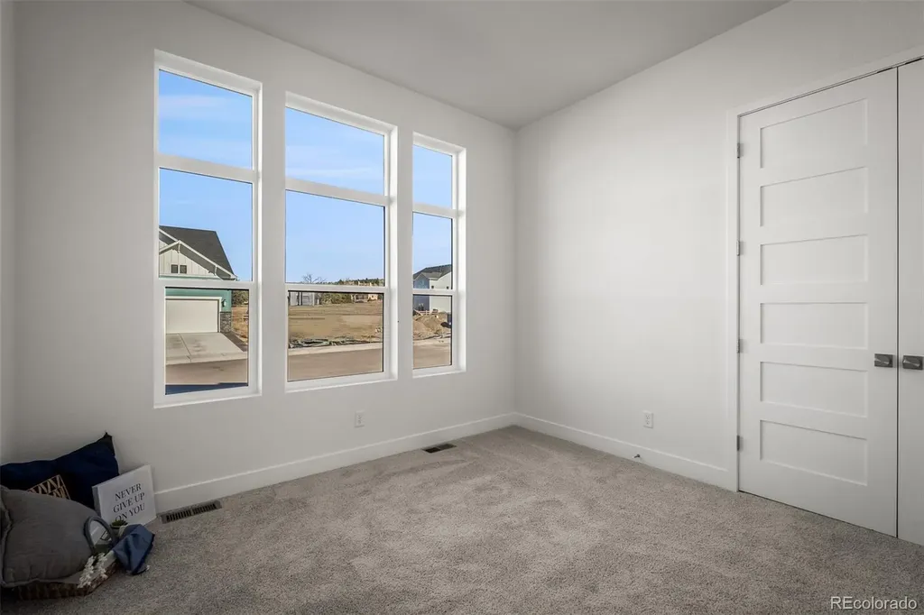 17234 Alsike Clover Court Monument CO 80132