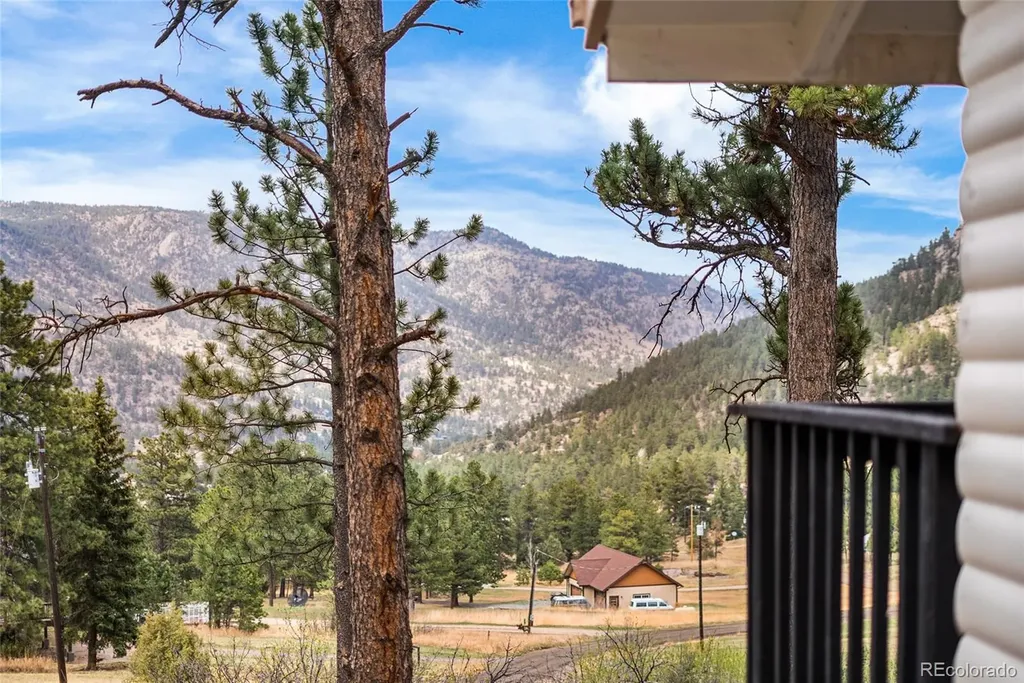 96 Moose Road Lyons CO 80540