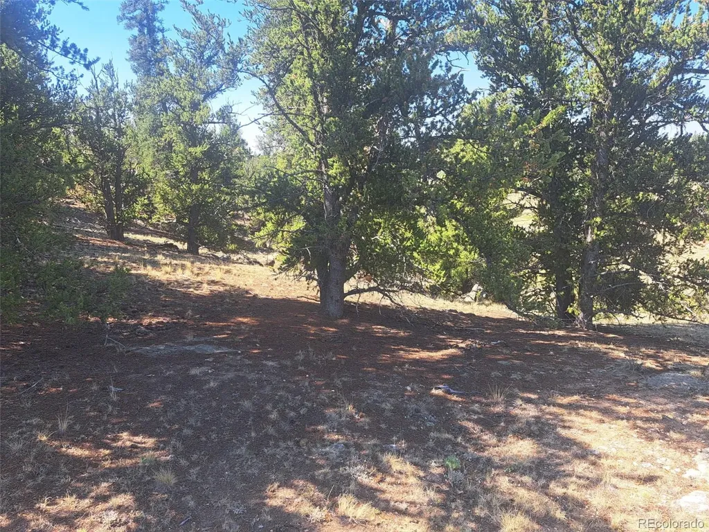 481 Ramrod Way Como CO 80432