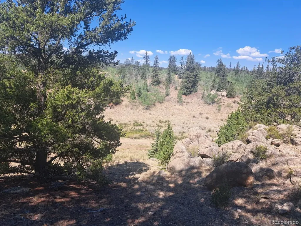 481 Ramrod Way Como CO 80432