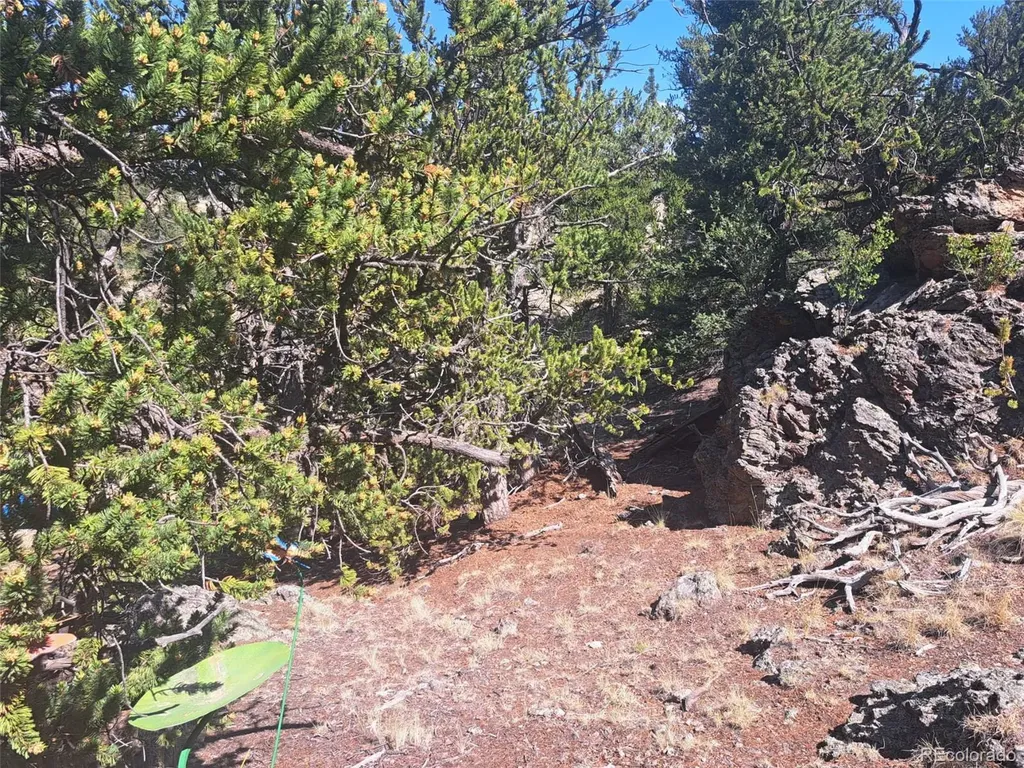 481 Ramrod Way Como CO 80432