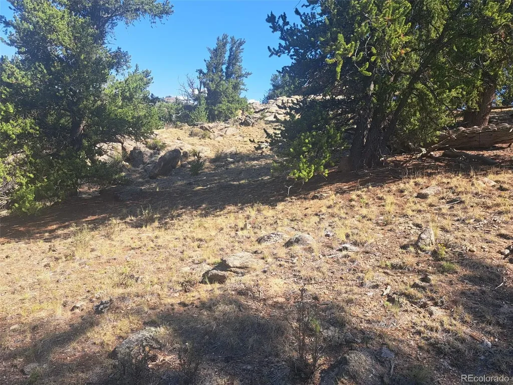 481 Ramrod Way Como CO 80432