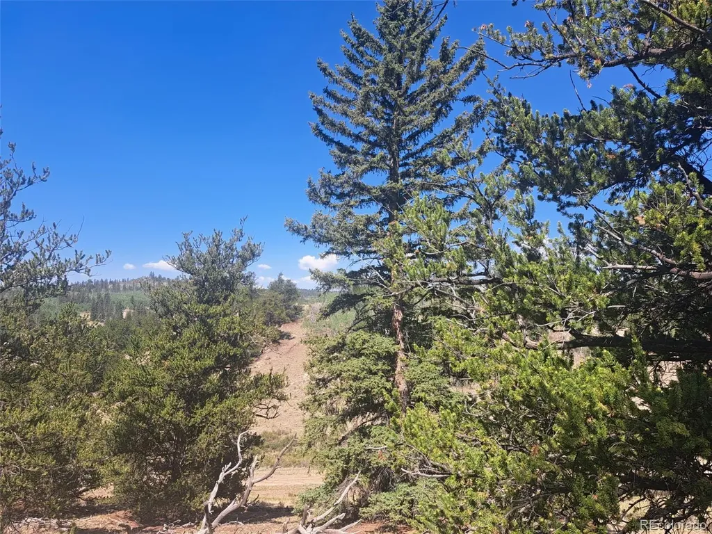 481 Ramrod Way Como CO 80432