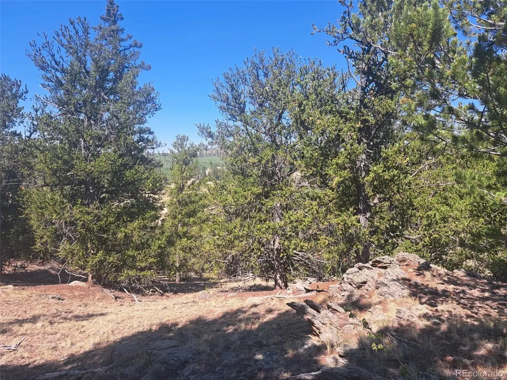 481 Ramrod Way Como CO 80432