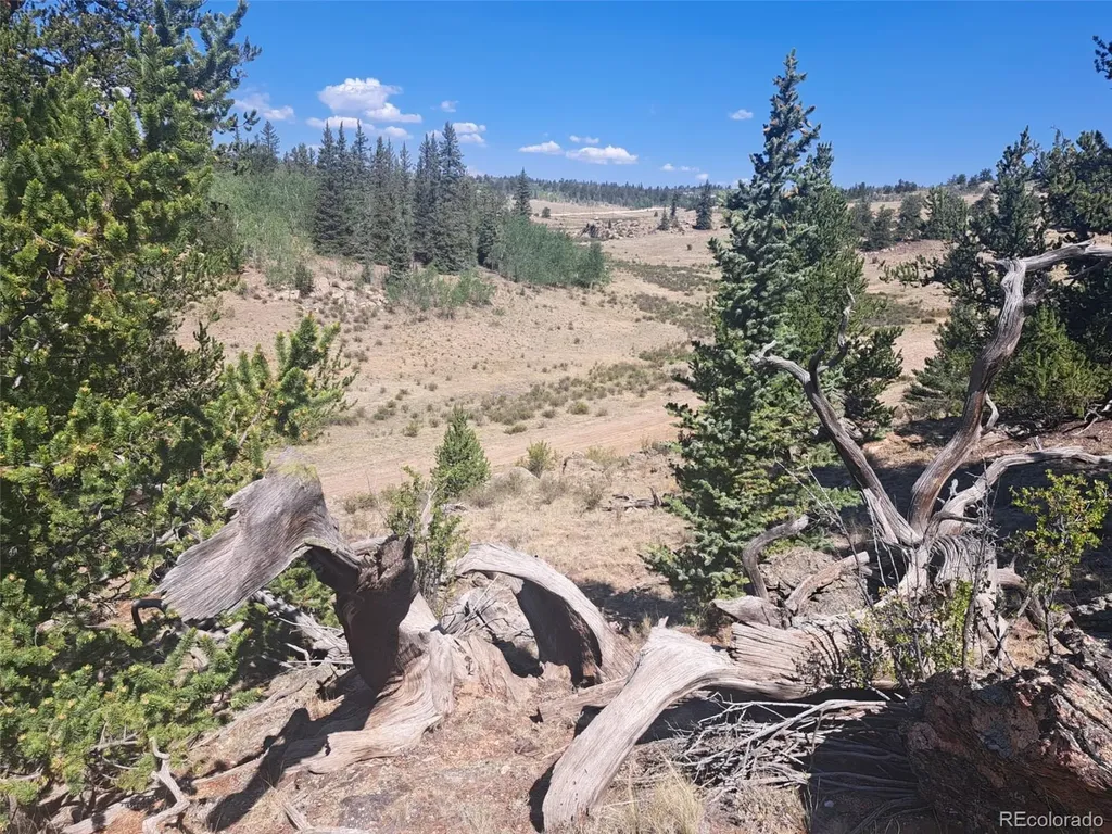 481 Ramrod Way Como CO 80432