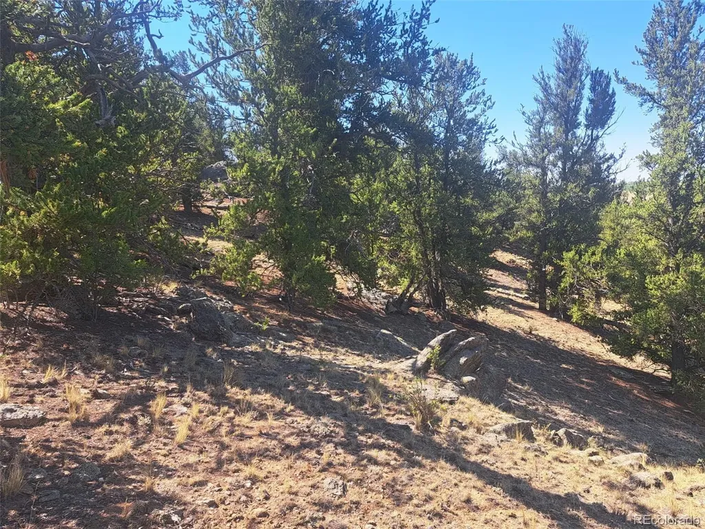 481 Ramrod Way Como CO 80432