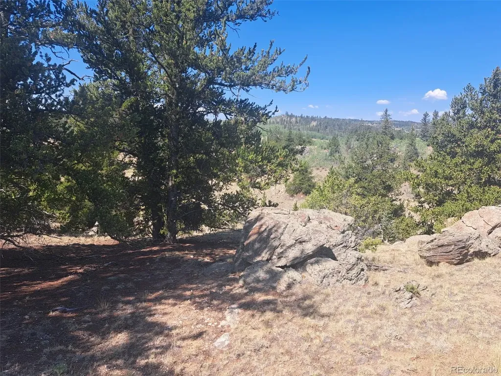 481 Ramrod Way Como CO 80432