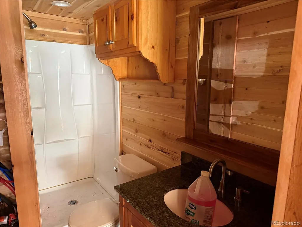 854 Old Little Bear Creek Road Idaho Springs CO 80452