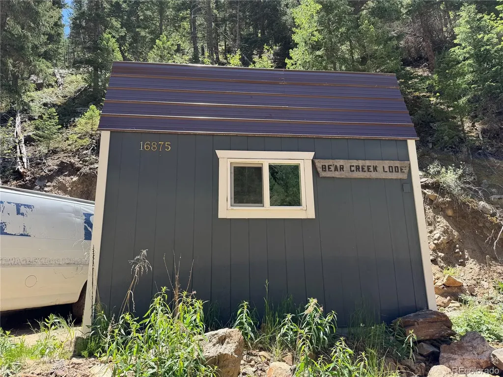 854 Old Little Bear Creek Road Idaho Springs CO 80452