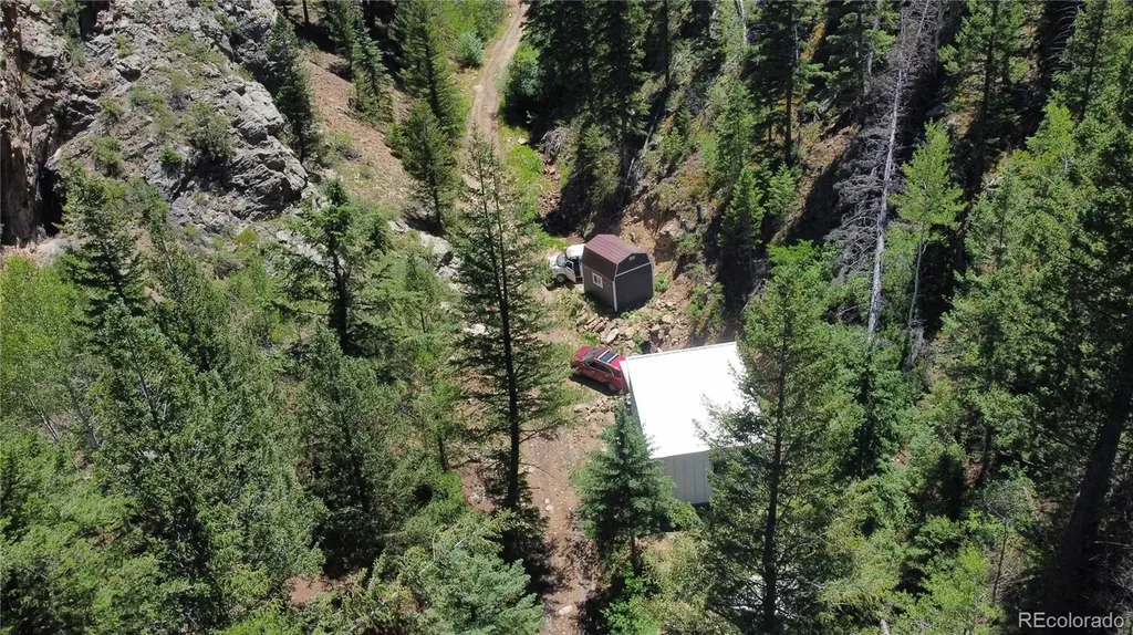 854 Old Little Bear Creek Road Idaho Springs CO 80452