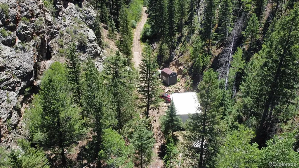 854 Old Little Bear Creek Road Idaho Springs CO 80452
