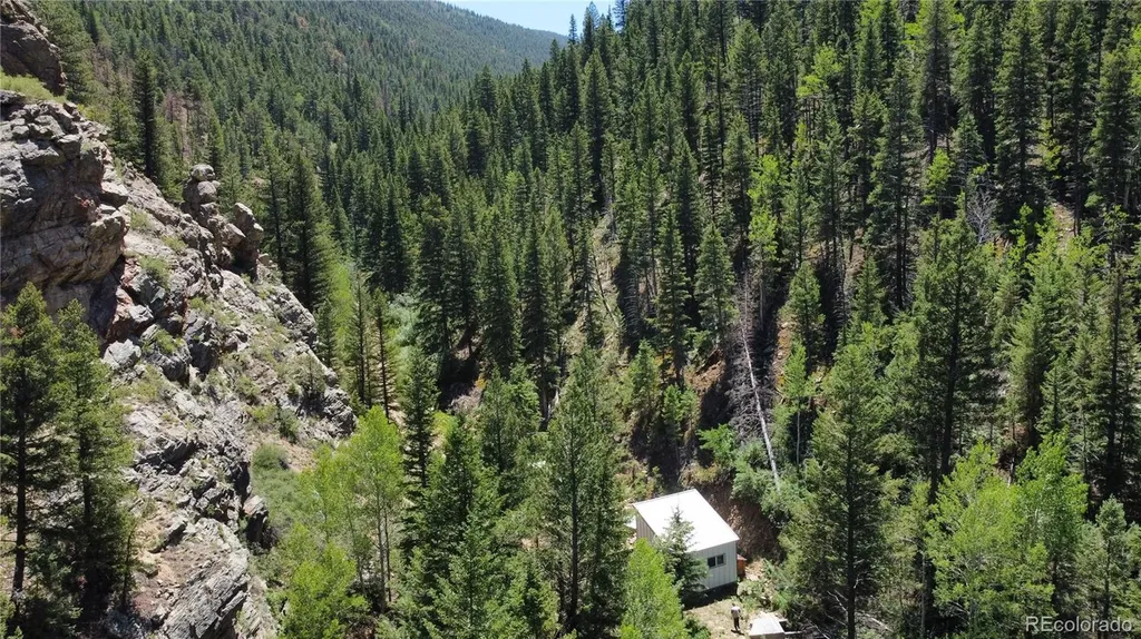 854 Old Little Bear Creek Road Idaho Springs CO 80452
