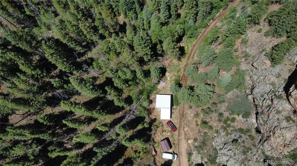 854 Old Little Bear Creek Road Idaho Springs CO 80452