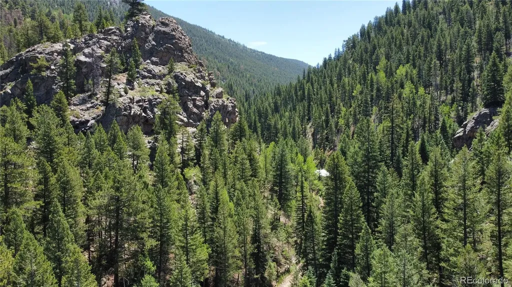 854 Old Little Bear Creek Road Idaho Springs CO 80452