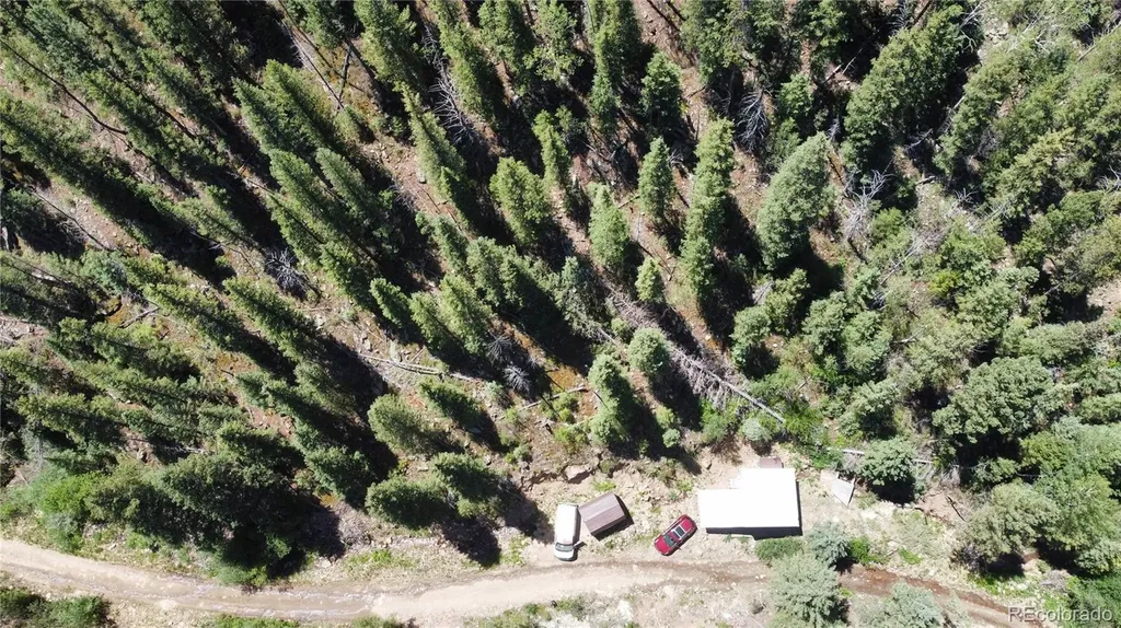 854 Old Little Bear Creek Road Idaho Springs CO 80452