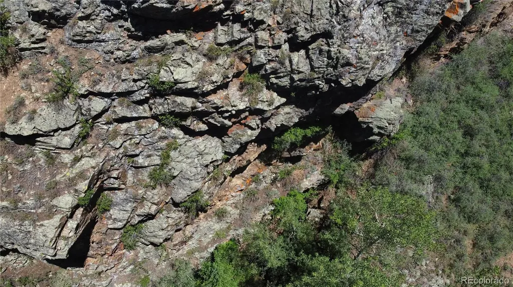 854 Old Little Bear Creek Road Idaho Springs CO 80452