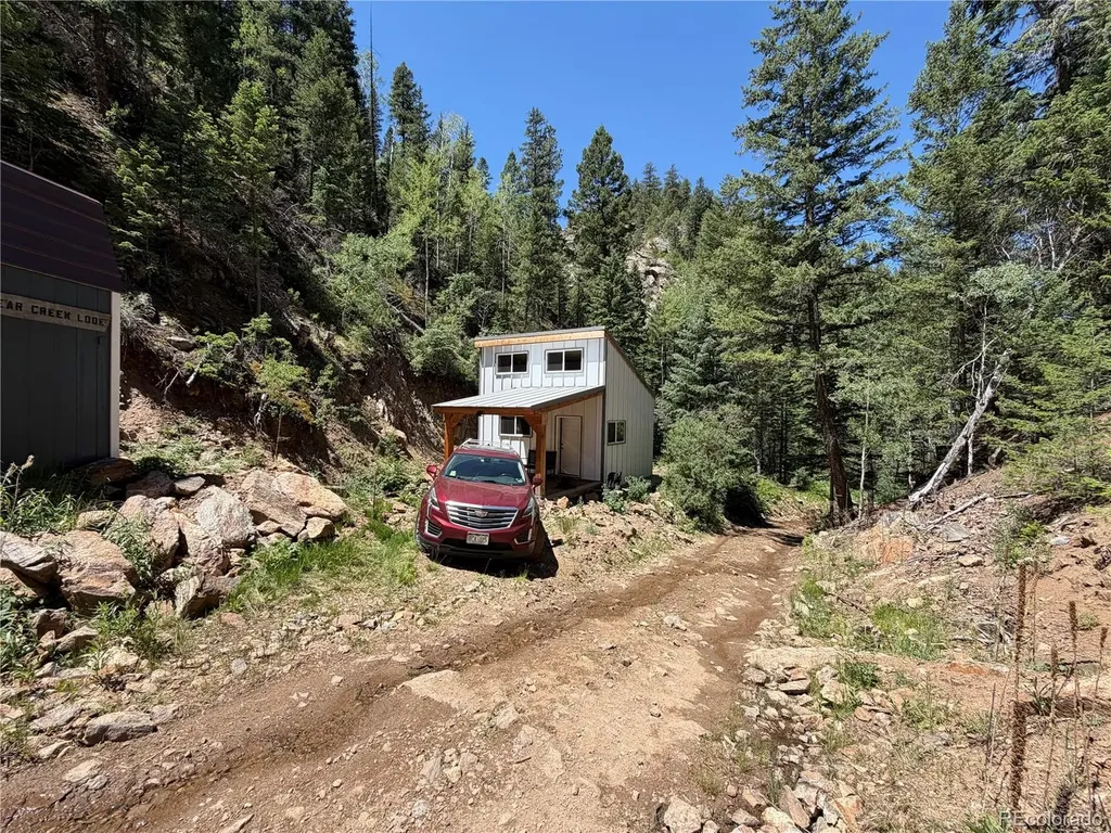 854 Old Little Bear Creek Road Idaho Springs CO 80452