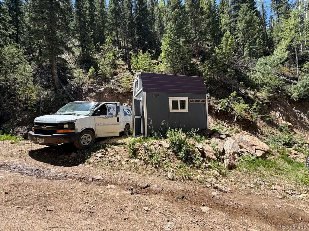 854 Old Little Bear Creek Road Idaho Springs CO 80452