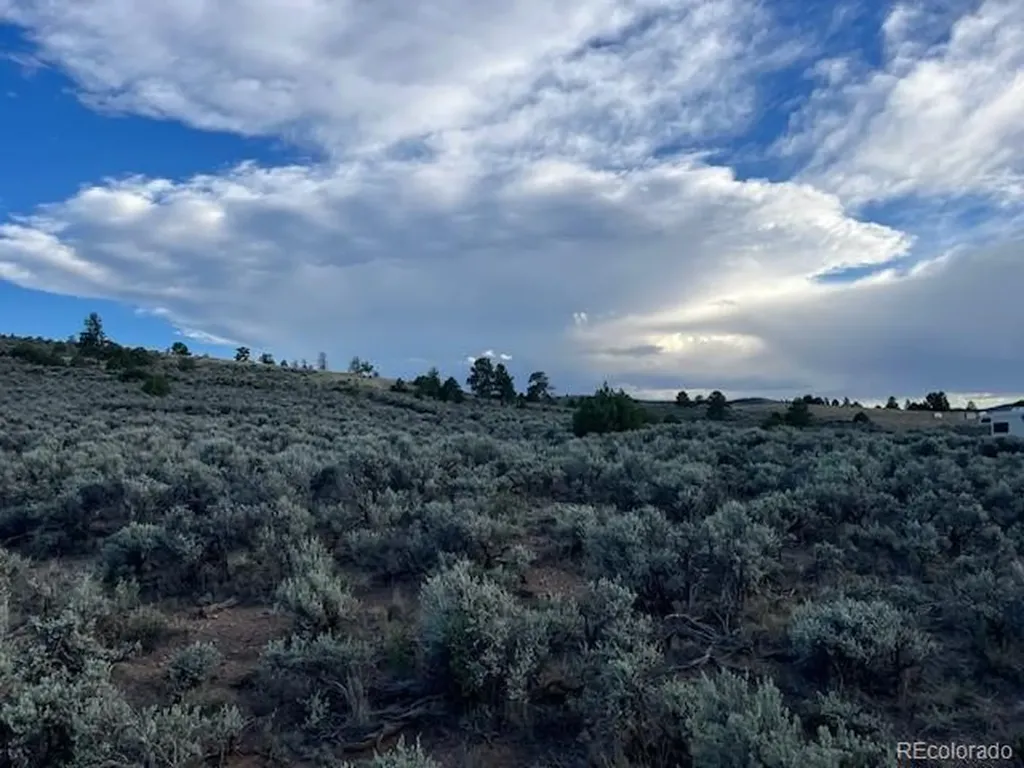 Lot 7669 Lewis Smith Road Fort Garland CO 81133
