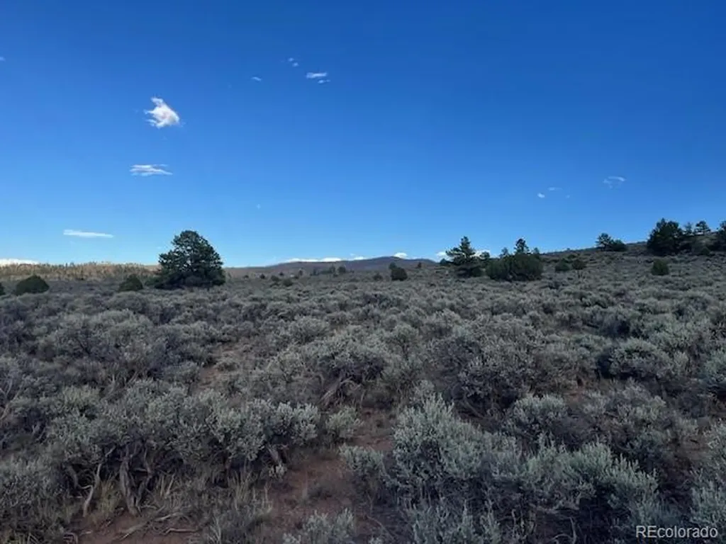 Lot 7669 Lewis Smith Road Fort Garland CO 81133