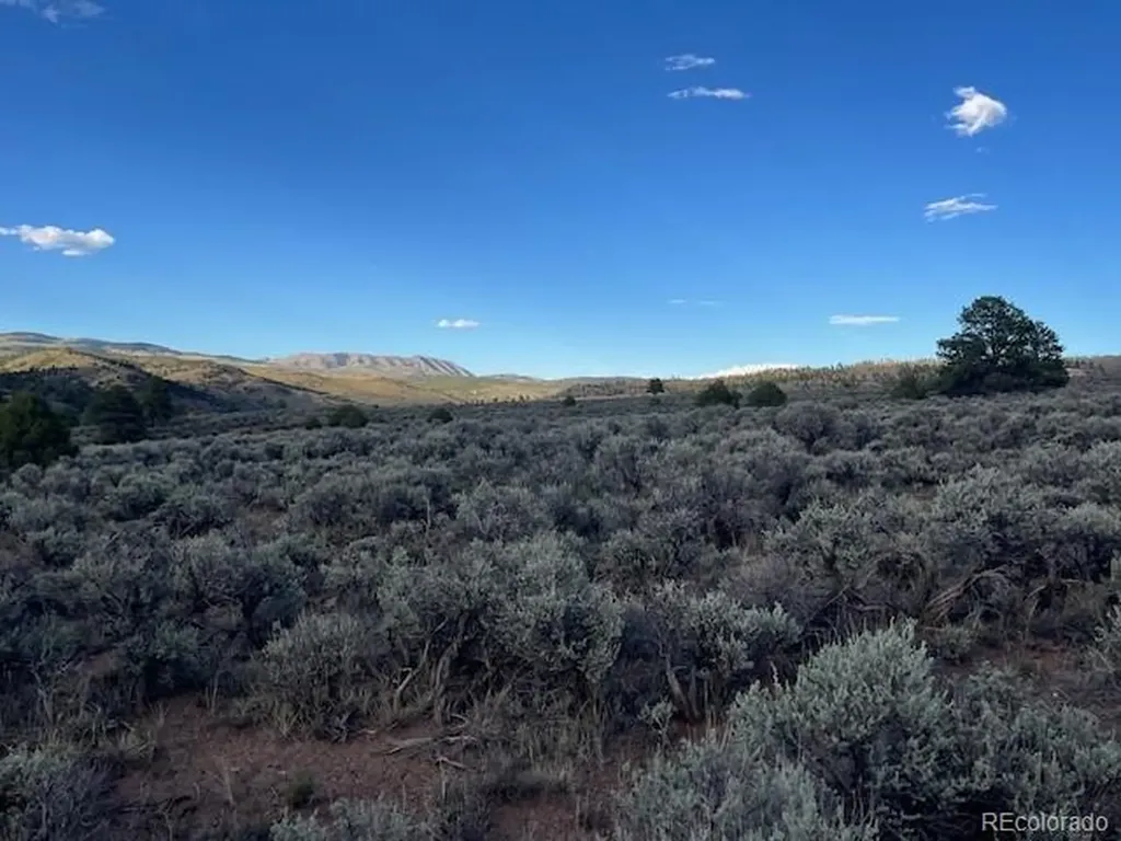 Lot 7669 Lewis Smith Road Fort Garland CO 81133