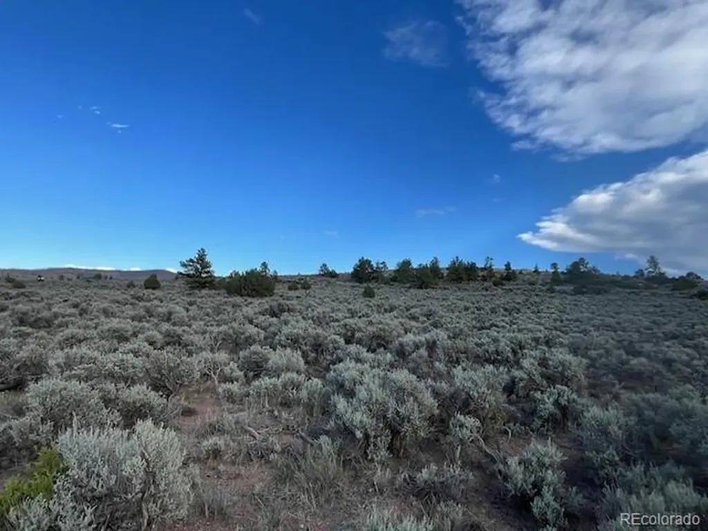 Lot 7669 Lewis Smith Road Fort Garland CO 81133