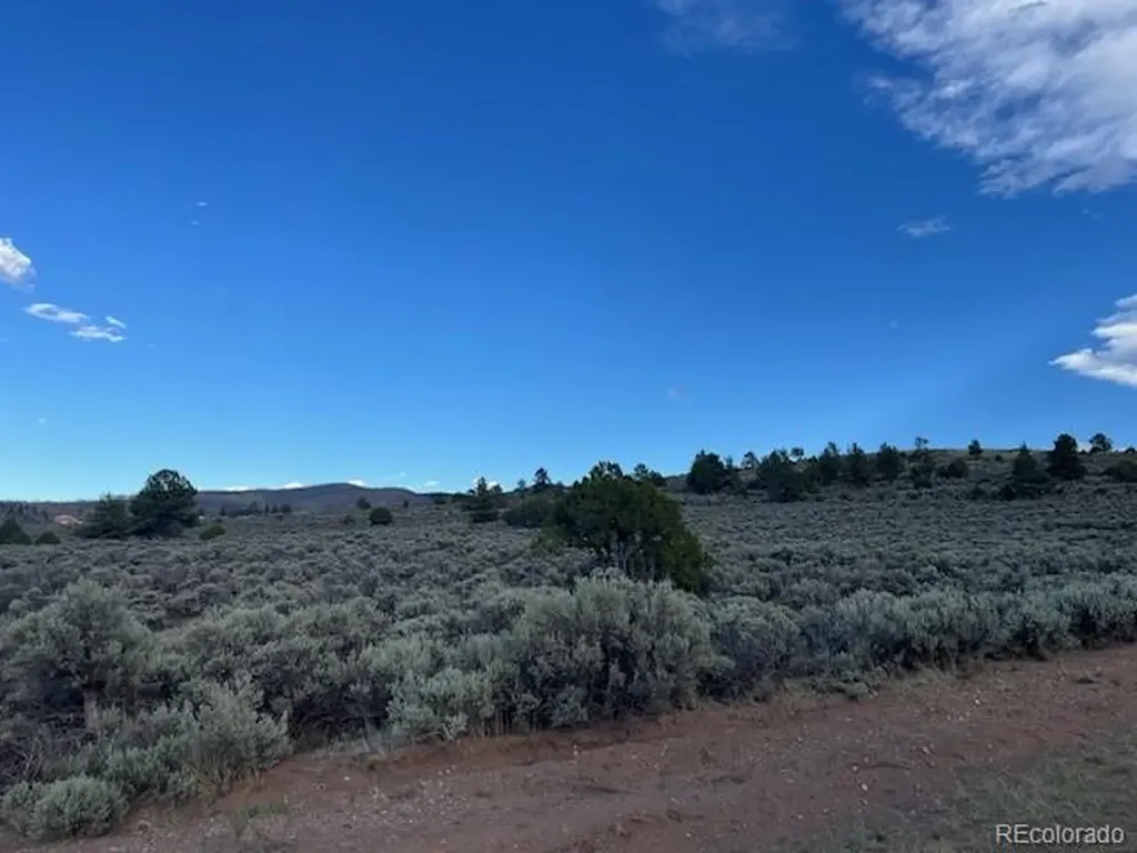 Lot 7669 Lewis Smith Road Fort Garland CO 81133