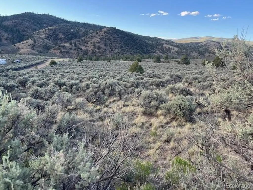 Lot 7669 Lewis Smith Road Fort Garland CO 81133