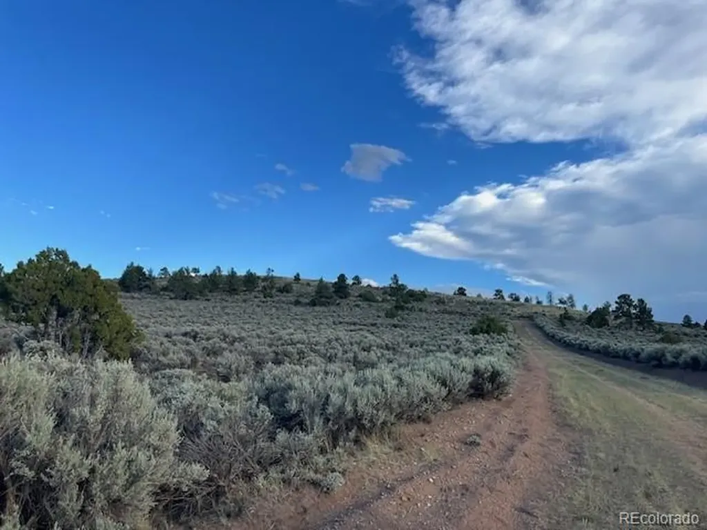 Lot 7669 Lewis Smith Road Fort Garland CO 81133