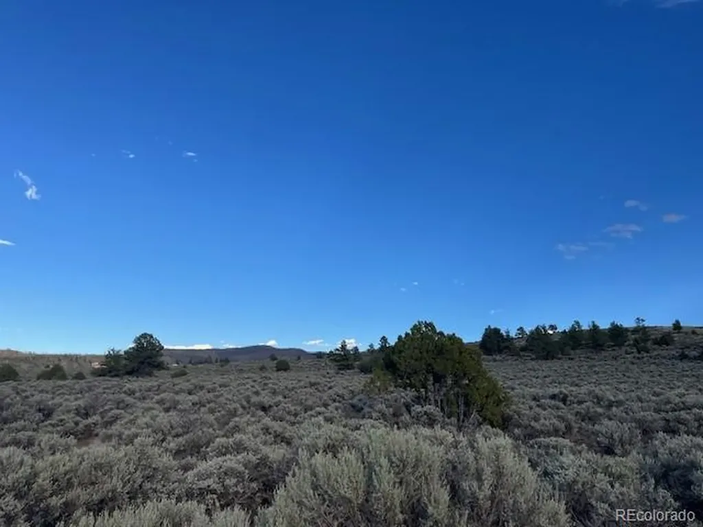 Lot 7669 Lewis Smith Road Fort Garland CO 81133