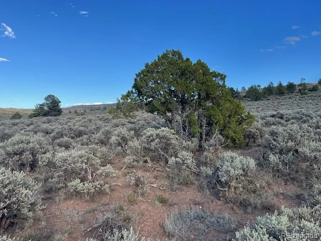 Lot 7669 Lewis Smith Road Fort Garland CO 81133
