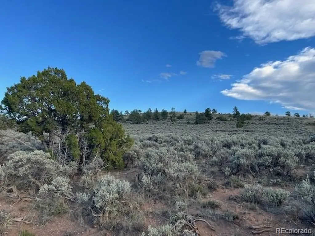 Lot 7669 Lewis Smith Road Fort Garland CO 81133