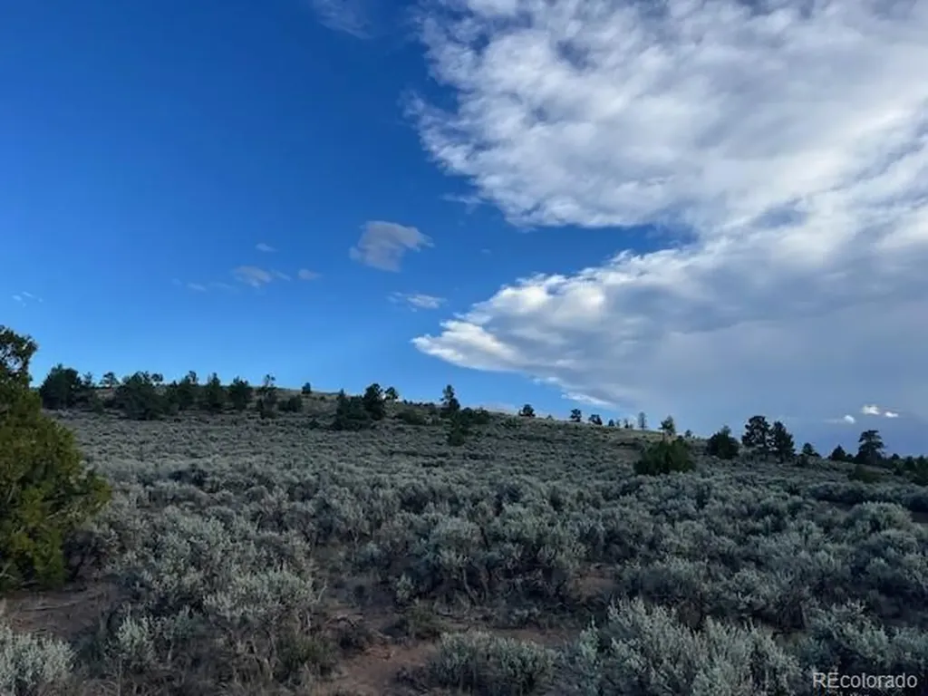 Lot 7669 Lewis Smith Road Fort Garland CO 81133