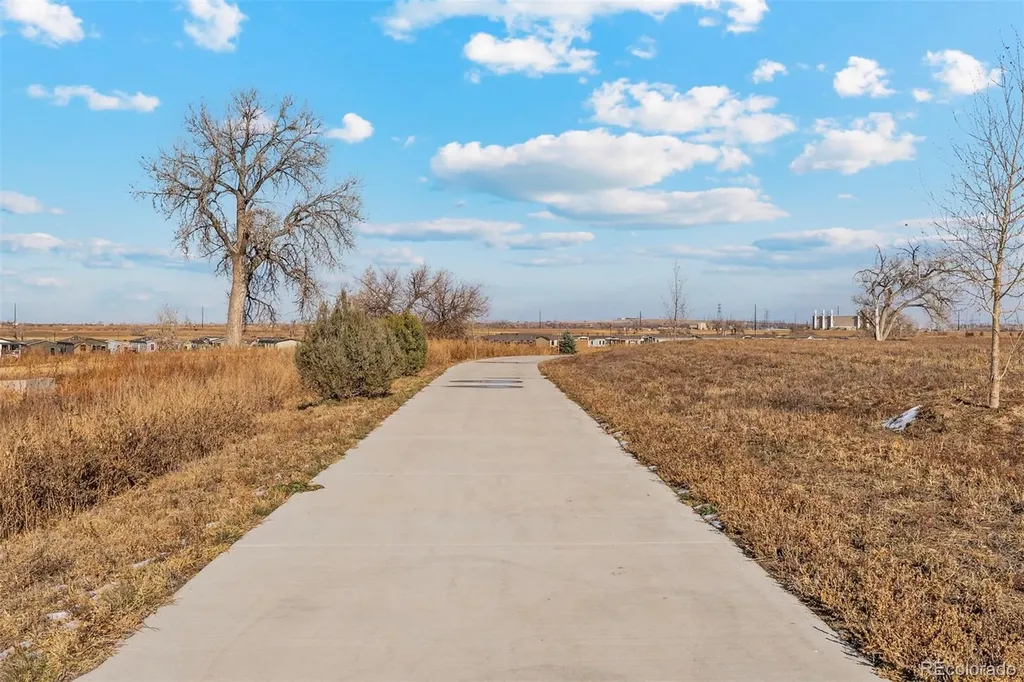 2164 Alyssa Street Fort Lupton CO 80621