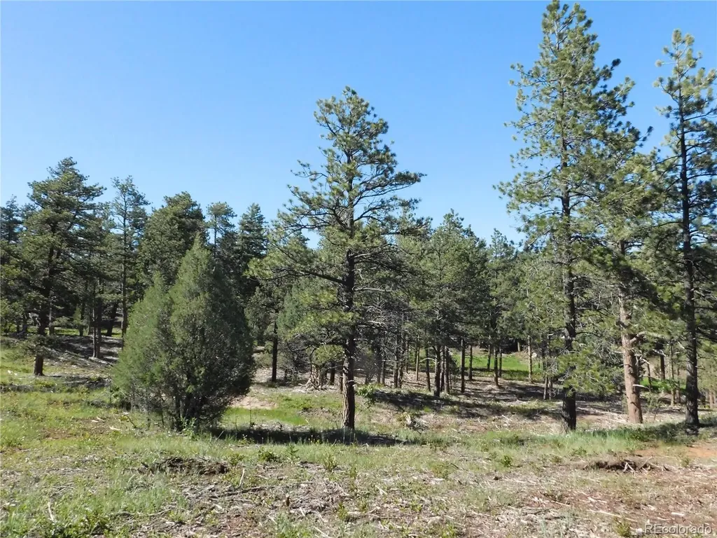 7514 Seminole Drive Larkspur CO 80118
