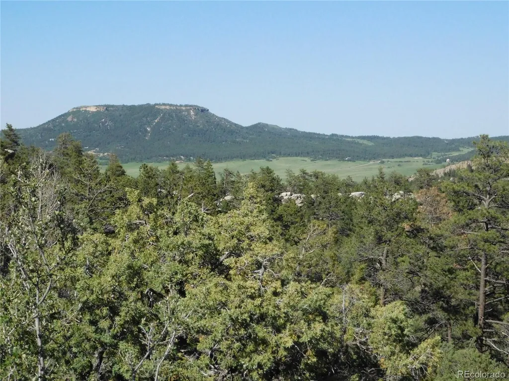 7514 Seminole Drive Larkspur CO 80118