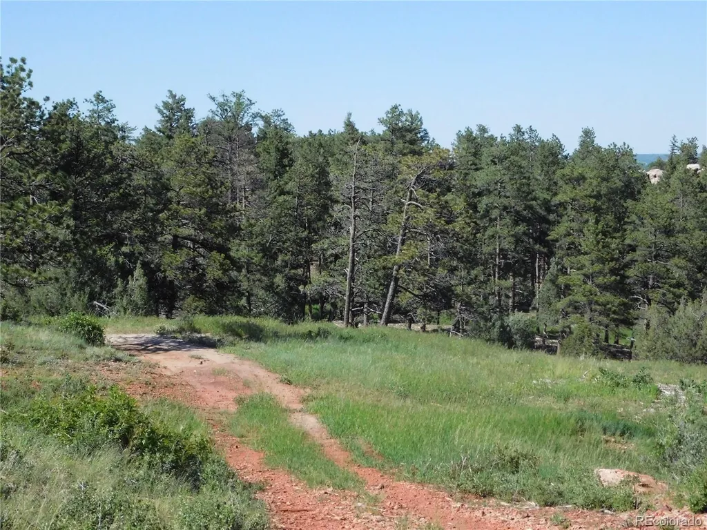 7514 Seminole Drive Larkspur CO 80118
